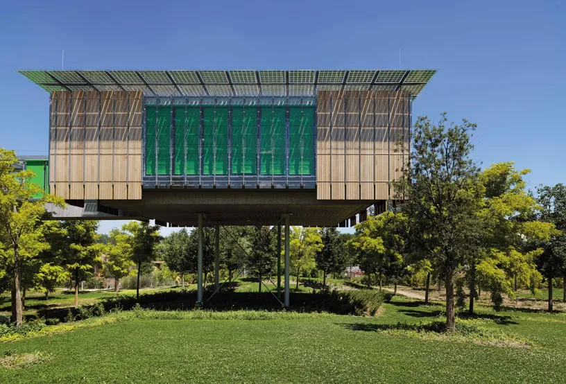 L'Arca sull'Albero - 2