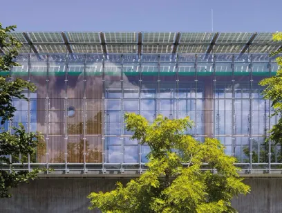 L'Arca sull'Albero - 4