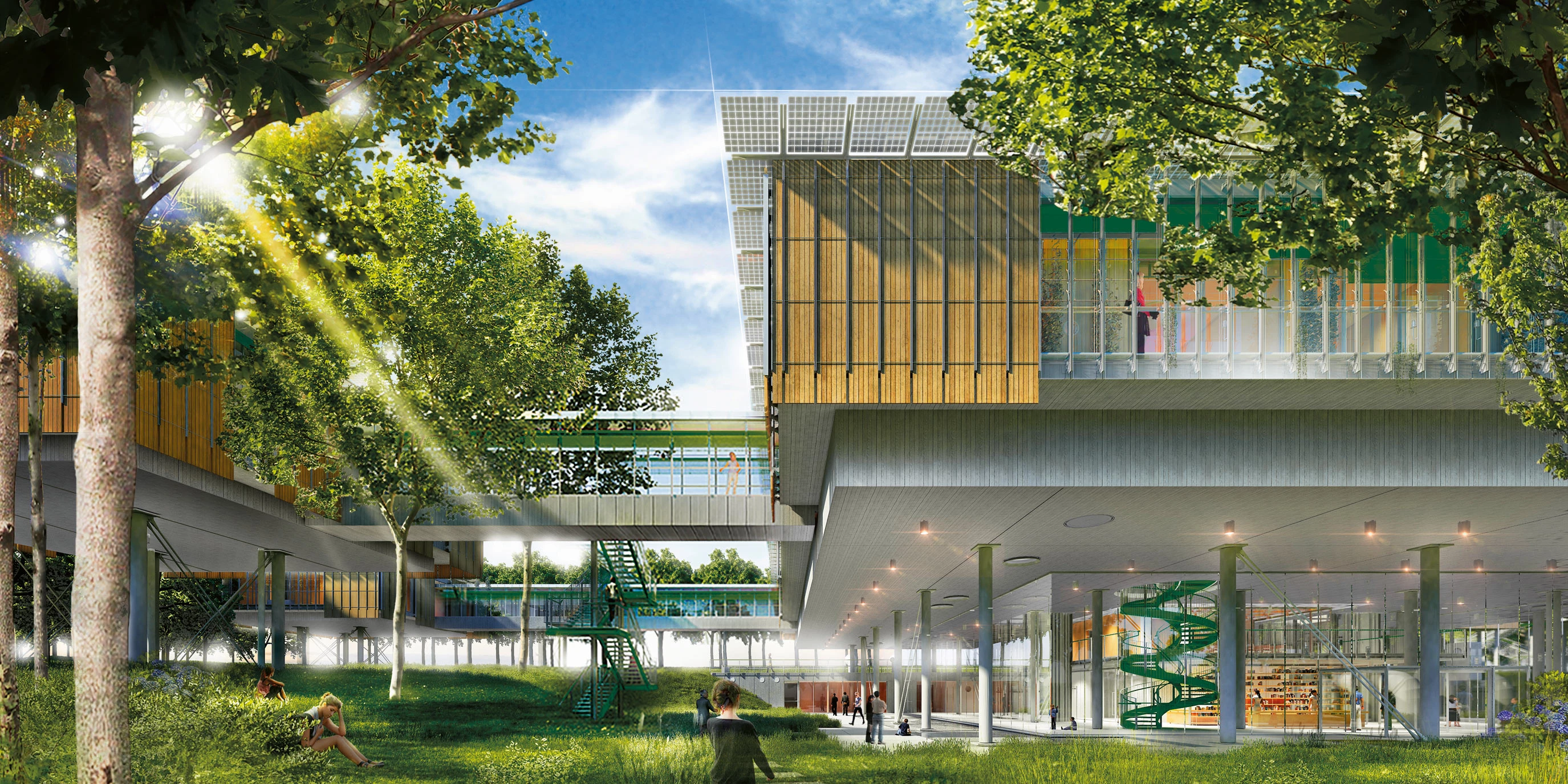 L'Arca sull'Albero - 7