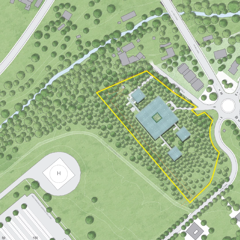 L'Arca sull'Albero - 8