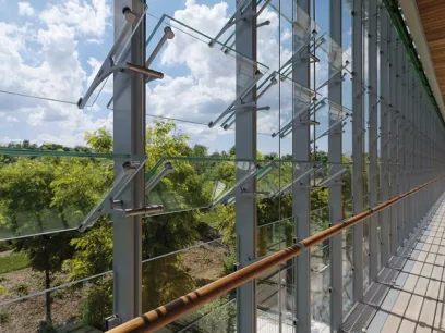 L'Arca sull'Albero - 5