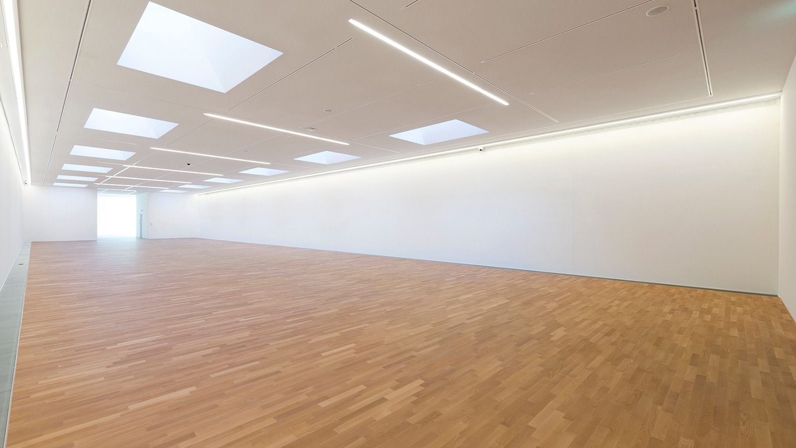 LAC Lugano Arte e Cultura - 2